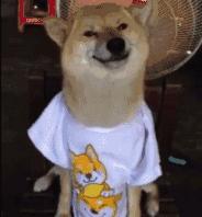 买1送1高倍防晒霜,买一送一99两瓶防晒霜