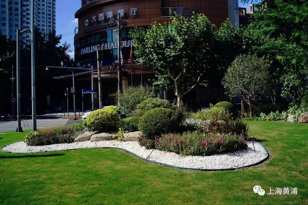 臭水浜变成了林荫道,《从臭水浜到林荫道》小学课文