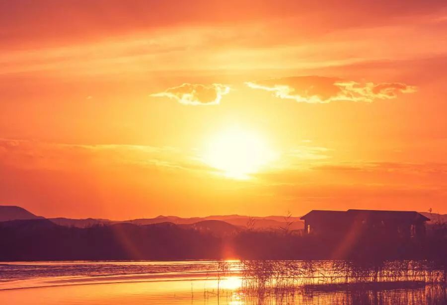 求助｜她才25岁，请大家帮助这位枞阳女孩……