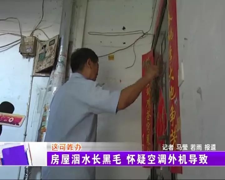 屋里长了白毛是怎么回事,屋里有黑毛是什么原因