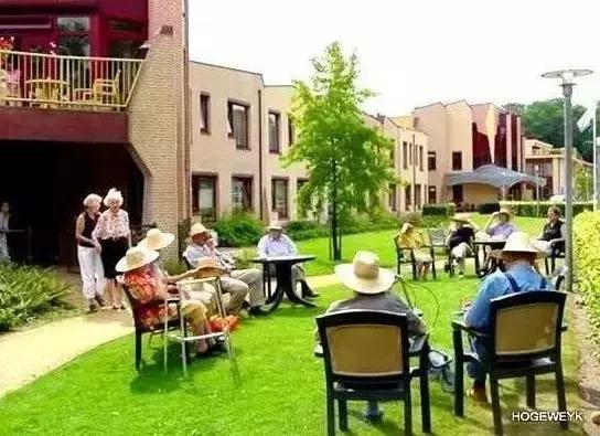 荷兰有个“楚门的世界”，一群*子骗**在干这件事，真相却让人泪目