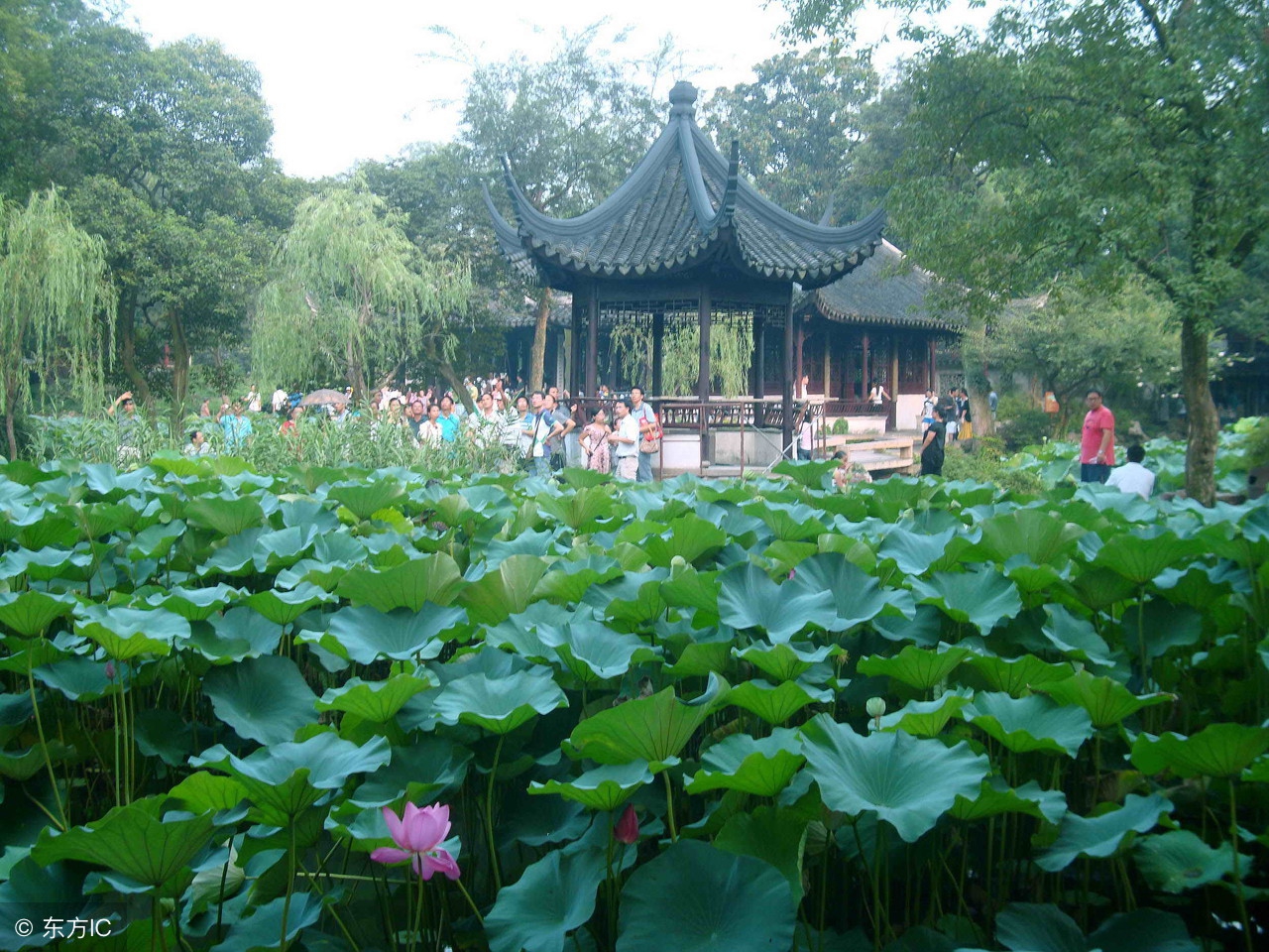 造价计价中合同价格争议的处理,工程造价中计量单位错了怎么办