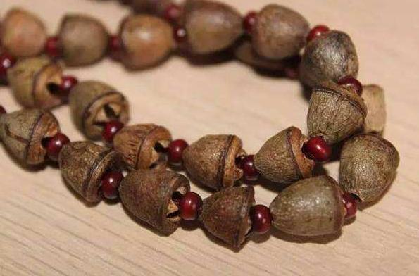 史上最全菩提子品种介绍赶紧收藏,菩提子的种类及图片欣赏
