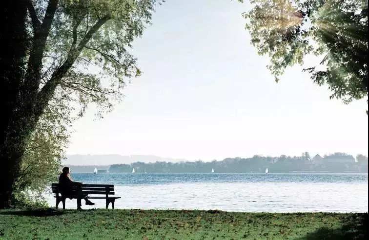 所见为止，率无可及！临沂绿化景观高达64%的滨河楼盘！