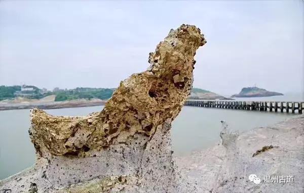 鹿西岛景区图,鹿西岛旅游攻略礁石拍照