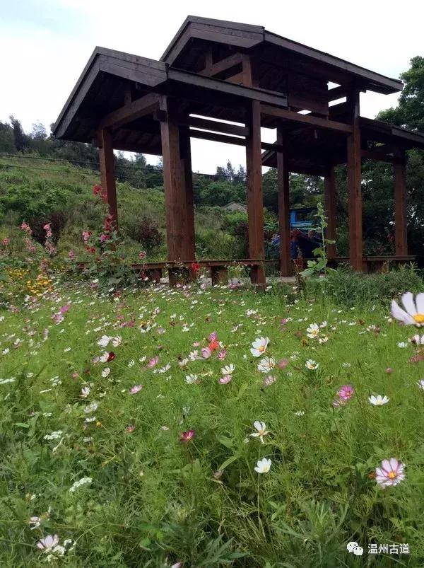 鹿西岛景区图,鹿西岛旅游攻略礁石拍照