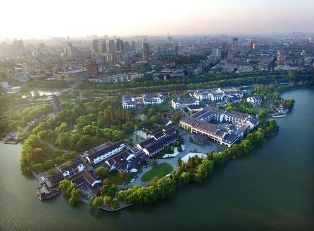 七夕撒狗粮的浪漫惊喜,七夕撒狗粮