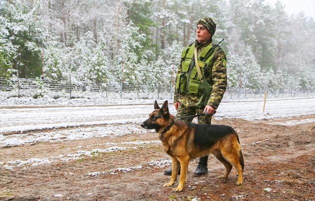 盘点那些狗狗的奇怪叫声,狗狗的名字太奇葩了