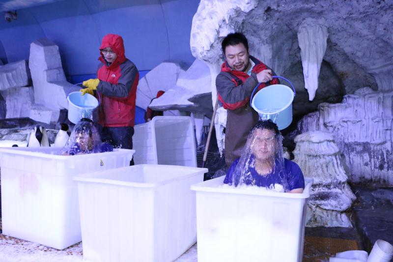 极地海洋世界青岛企鹅互动,青岛极地海洋公园企鹅接触