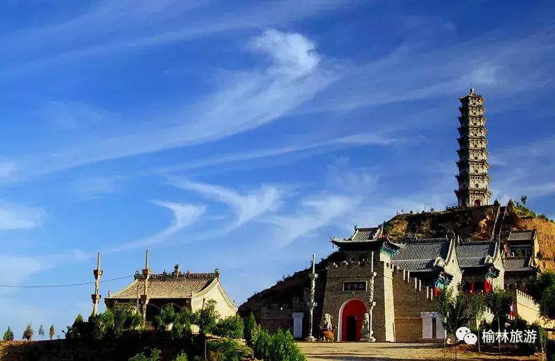 走遍榆林寻古树、品农味、游乡村，感受最清爽的一抹绿之子洲篇