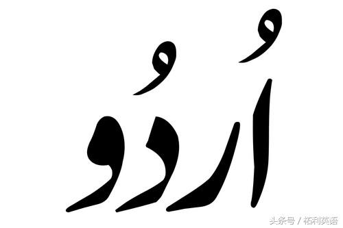 世界上大部分流行的语言,2021网络最流行语言