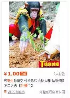 那些说说而已的段子，原来都是真的～