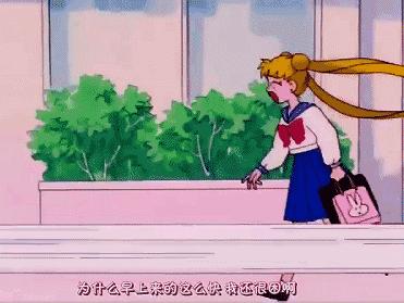 最还原的月野兔,月野兔真实照片