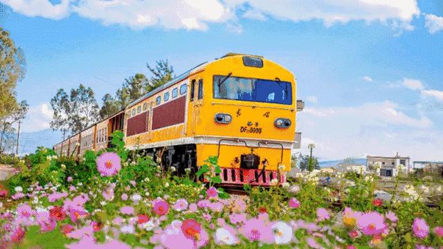 为什么这么多人喜爱大理,建水和建水古城