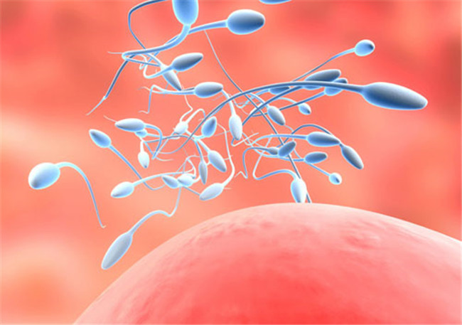 男性备孕不要吃什么,育儿吃什么食补最好