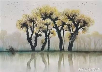 徐志摩经典语录文字,徐志摩的诗歌经典语录