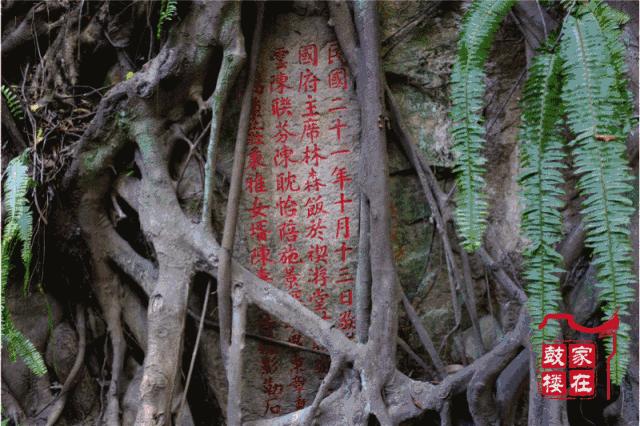 福州现在可以正常开放的公园,福州公园换新颜值