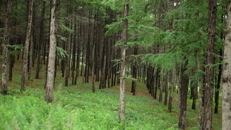 九种特别的礼物记2018壹季崇礼之巅越野赛50KM