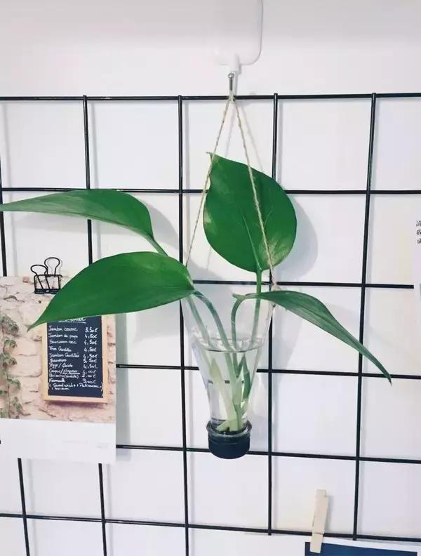 小两口把宜家风装进95㎡新家，美的像一幅画！绝了