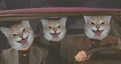 白天被查出酒驾!司机委屈巴巴:我没喝酒啊……