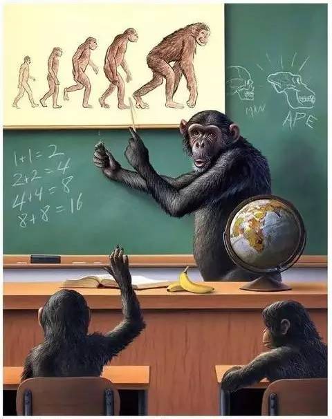 当人肉被动物从超市买回来……