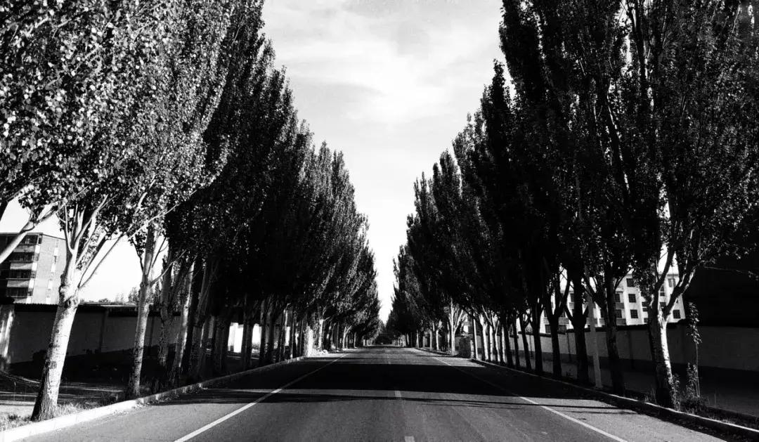 城市探索废墟探险,探索城市废墟