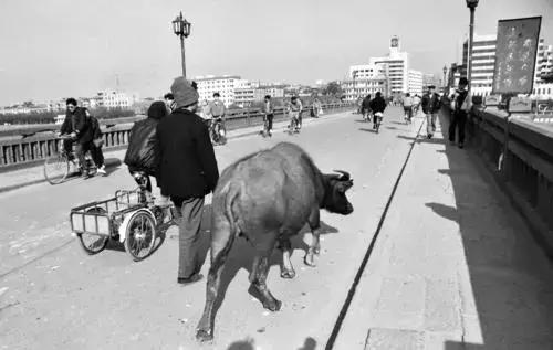 金华的感人故事,金华的民间故事