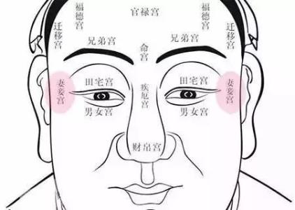 面相十二宫代表身体部位,面相十二宫吉凶图详解