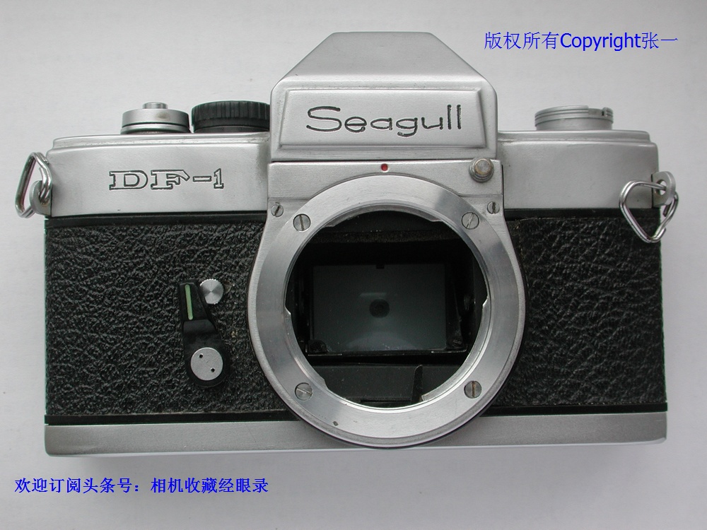 海鸥df-1拍照图片,海鸥df-1单反照相机