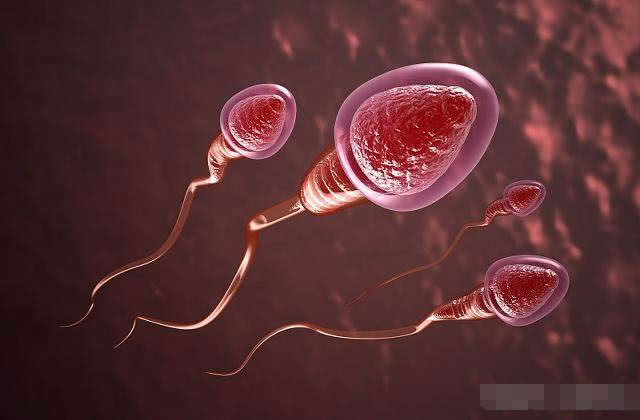 精子进入体内，却没成功“受精”，那你知道它们去哪里了吗？