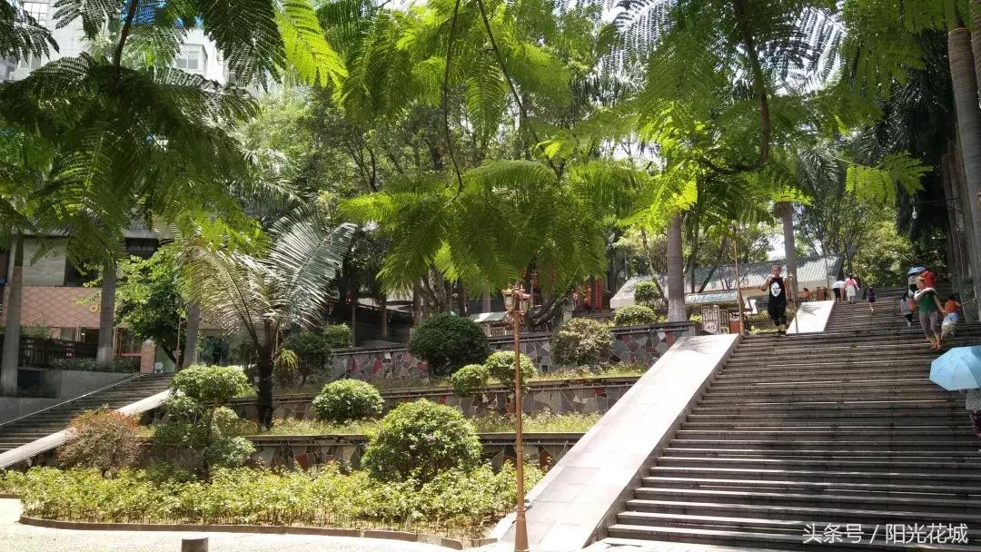 攀枝花的路有多陡,攀枝花最陡的坡