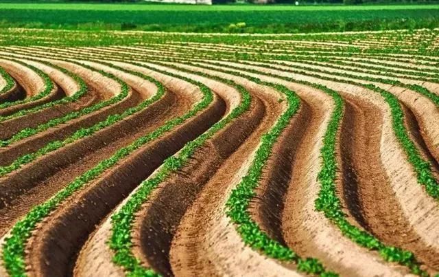 新的土地使用证是什么样的,新的土地证和房产证什么样