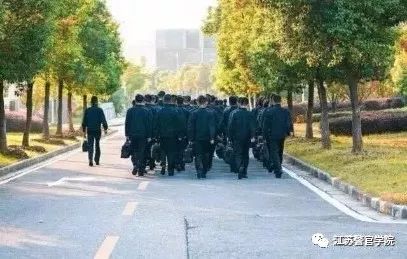 苏警院警史讲解,苏警院有哪些专业组