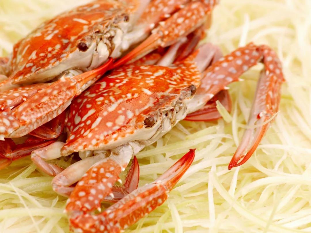 富察皇后为什么体寒入骨,延禧攻略富察皇后体寒发作