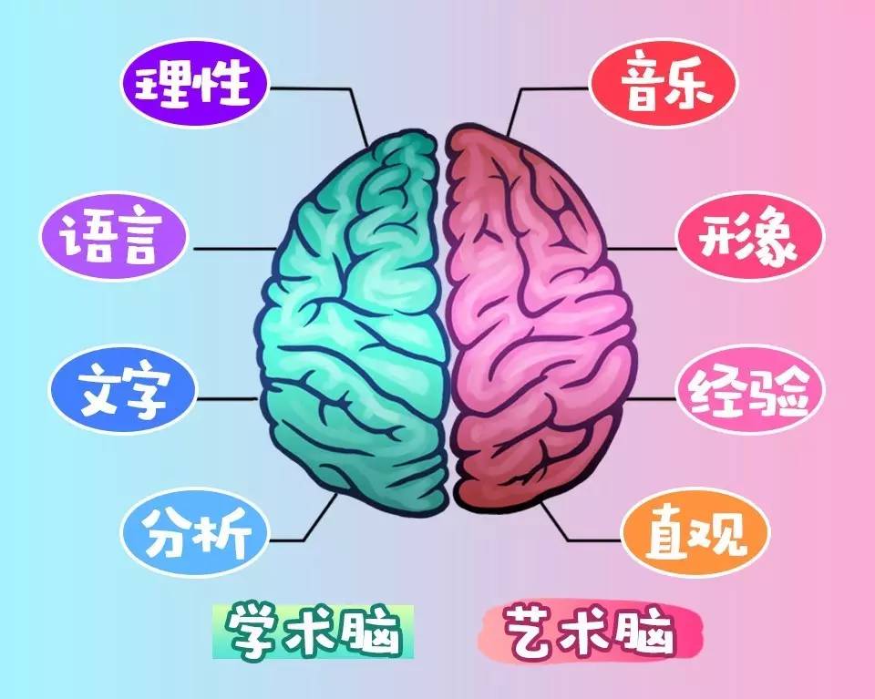 右脑开发训练方法,运动开发右脑