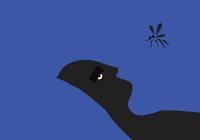 疫情国外旅游注意事项,暑假旅游需要规避哪些疫情区