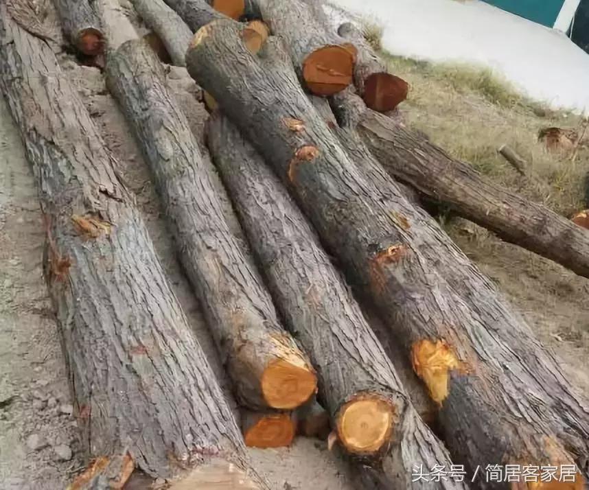 柴木是什么木质,你知道什么叫木匠吗