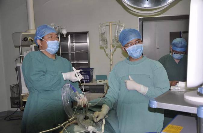 安钢2023上半年业绩,安钢业绩