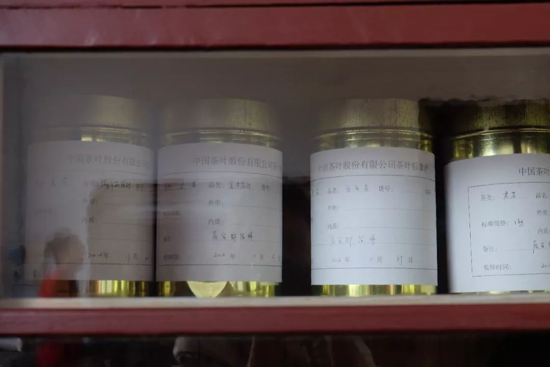 茶有金花还能喝吗,茶里的金花是怎么回事