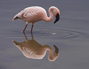 苏格拉底名言认识你自己原文,认识自己的缺点的名言