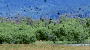 看日出、逗黑熊……从抚远出发穿越“两极”