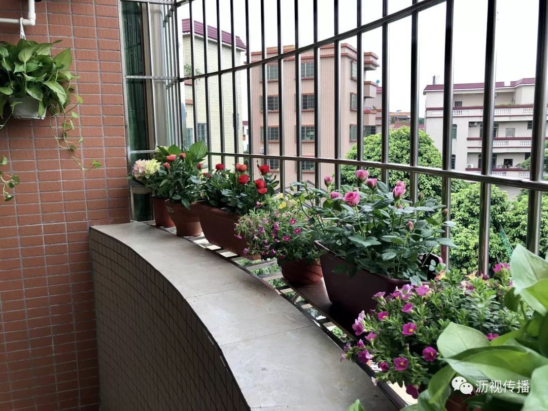 最美庭院评选,寻找最漂亮的花园小院