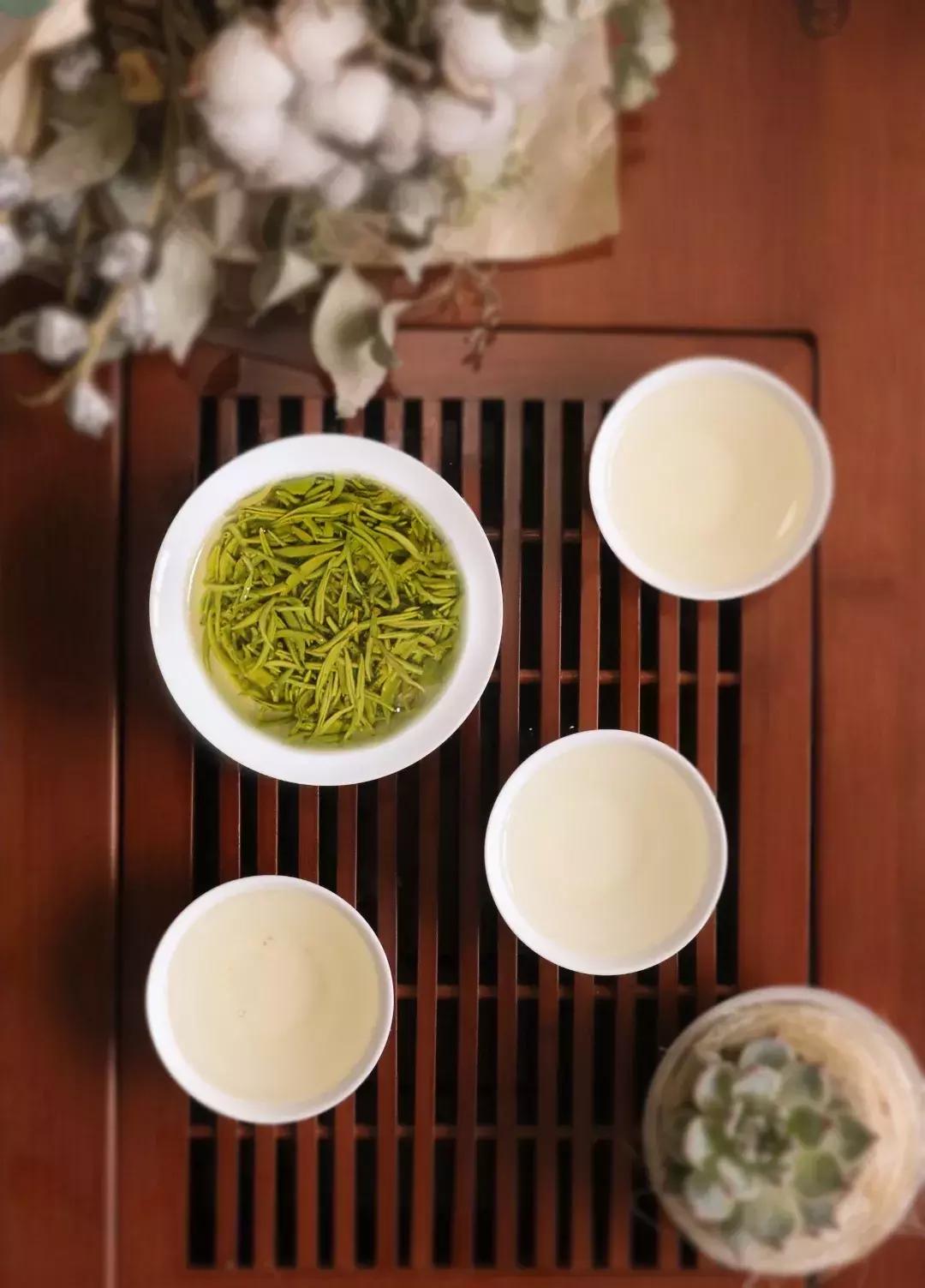 毛主席命名的都匀毛尖，到底有多好喝？