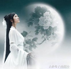 黄菊枝头生晓寒全文及赏析,黄菊枝头生晓寒打一生肖