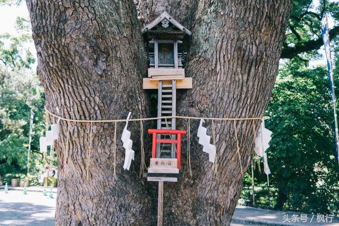 到熊本旅行自由行攻略,到熊本旅游自由行路线