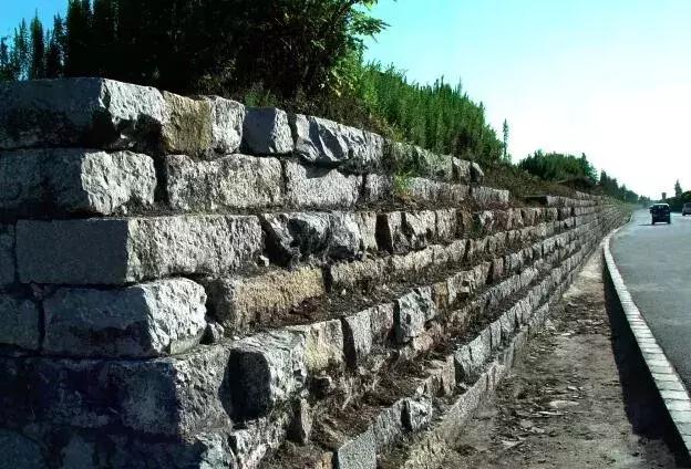 打造700亩湿地公园需要多少钱,国家森林公园奉贤