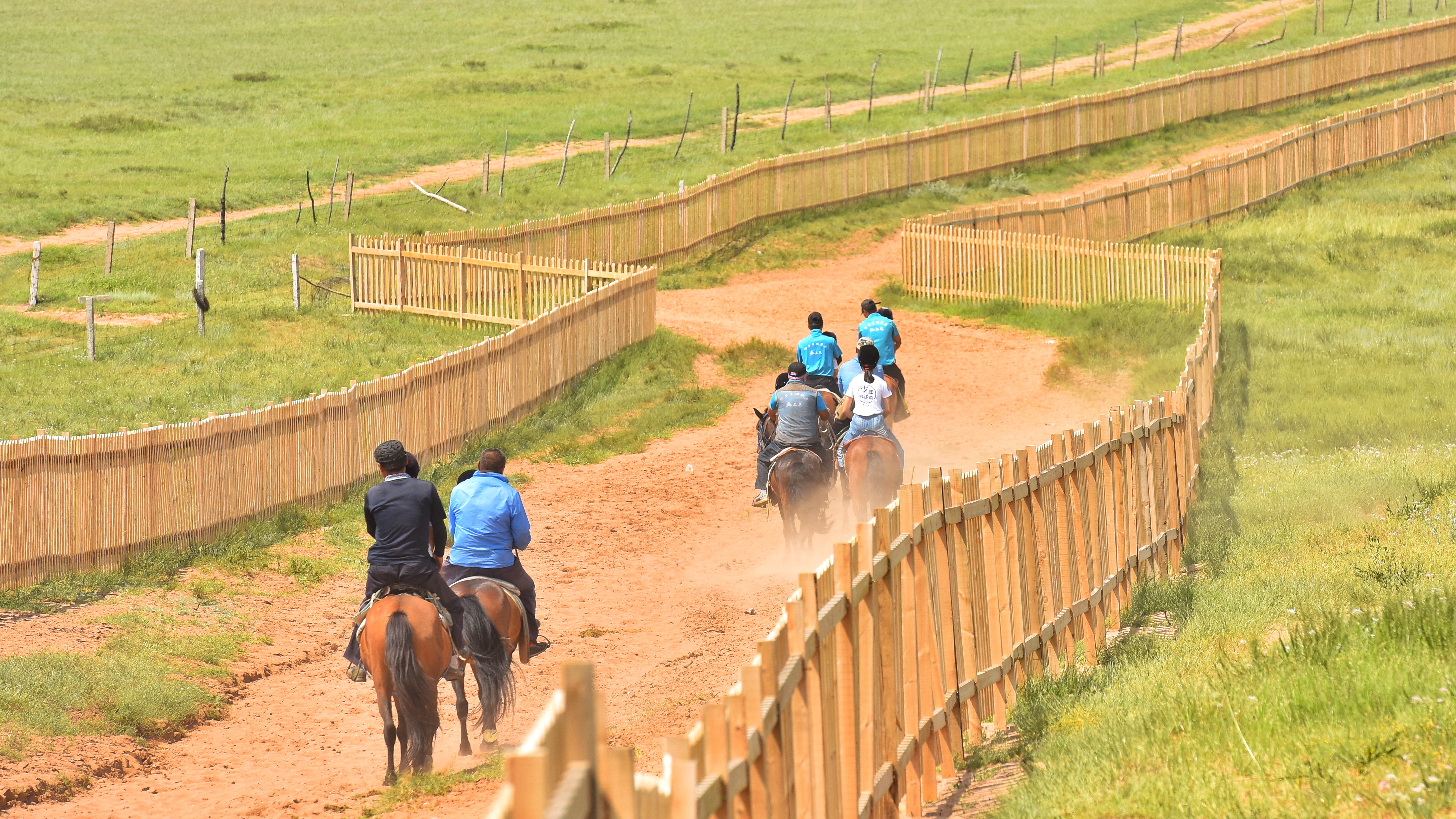 分享I鄂尔多斯少年那达慕，意义非凡的一场研学之旅