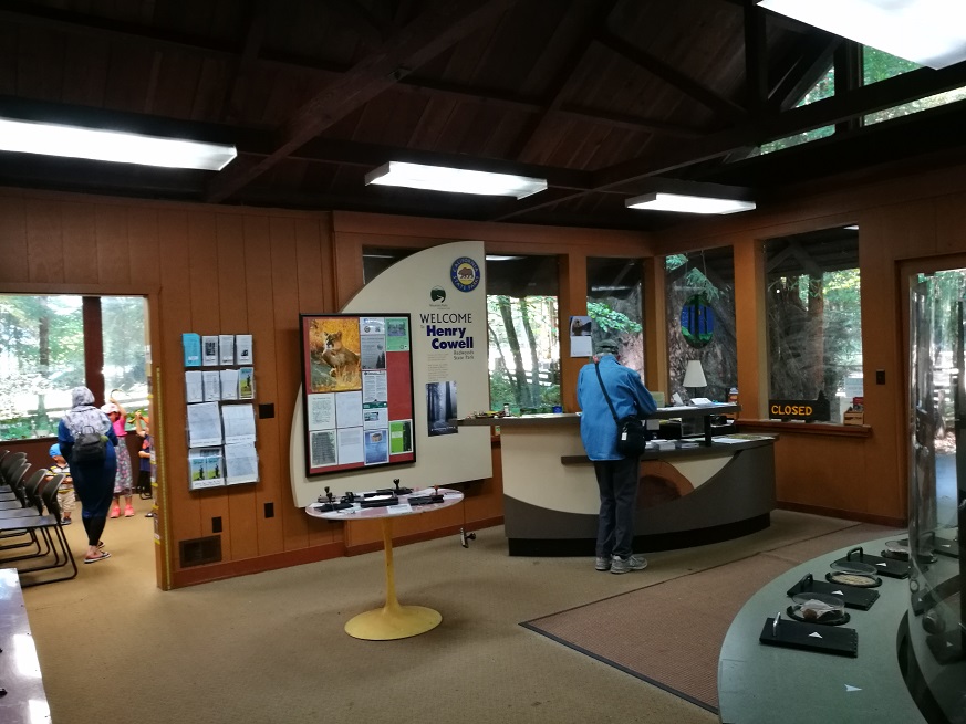 原始森林房车游记,红杉林房车自驾游