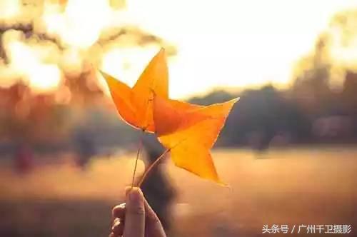 鐩告満鍗曞弽鍩虹鏁欑▼,70d鍗曞弽鐩告満鍩虹鏁欑▼