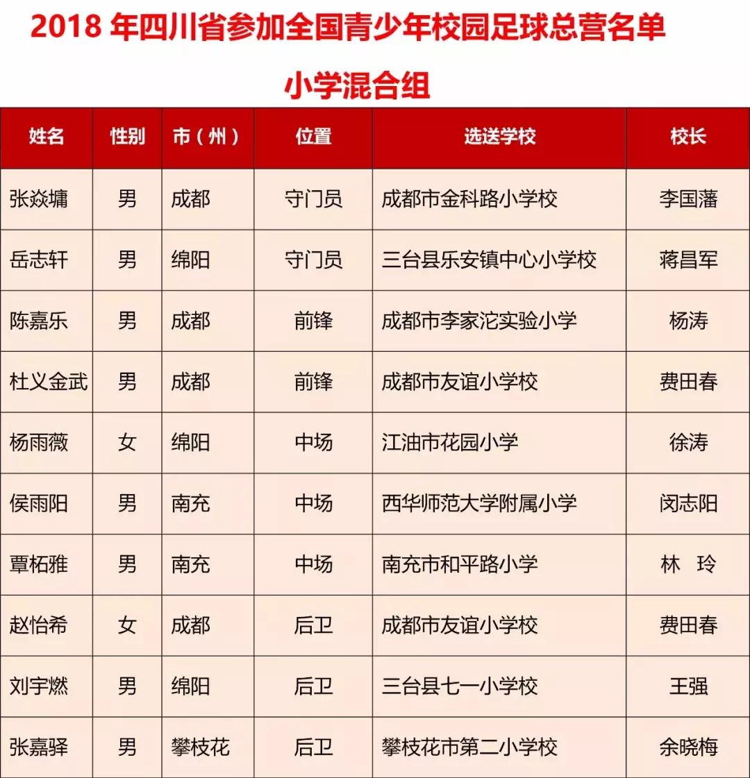 四川省青少年校园足球,四川足球省队青少年名单